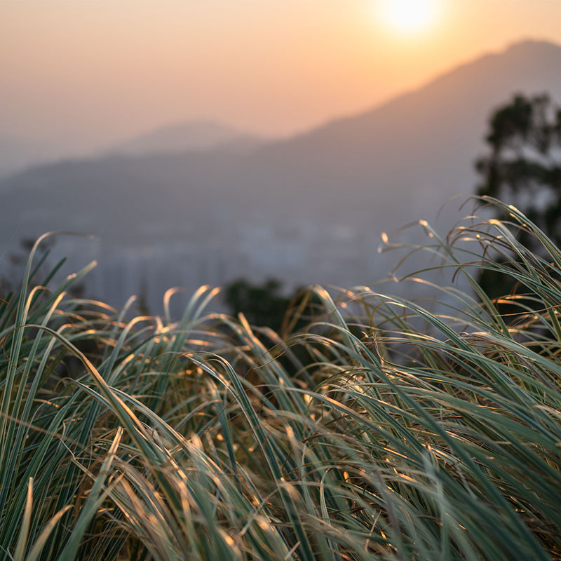 Viltrox AF 25mm F1.7 AIR APS-C X富士フイルムX – viltrox-shop