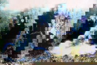 Noir fleurir discography | Noir fleurirディスコグラフィ | vkgy