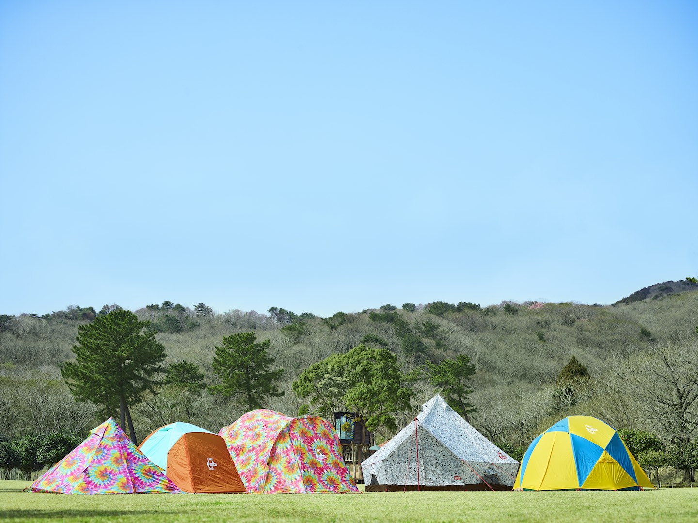 チャムスから、アゲアゲ＆高コスパな新型テントが5つも登場!! 初心者に