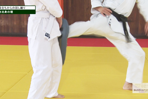 新作DVDレビュー】柳川昌弘直伝の鍛錬法！平松芳雄先生のDVD【武道空手