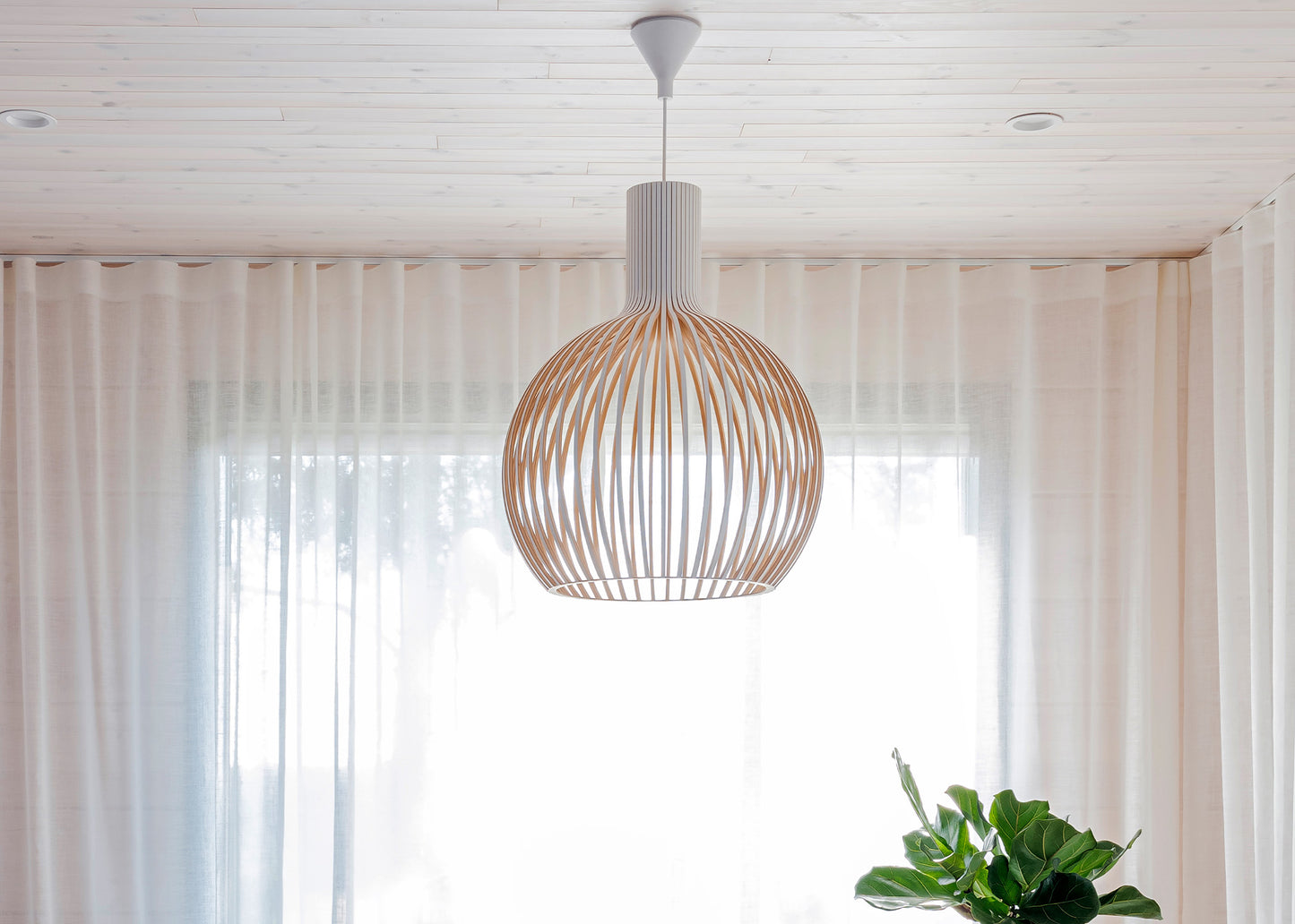 Octo 4240 Pendant - White – Woodland Mod