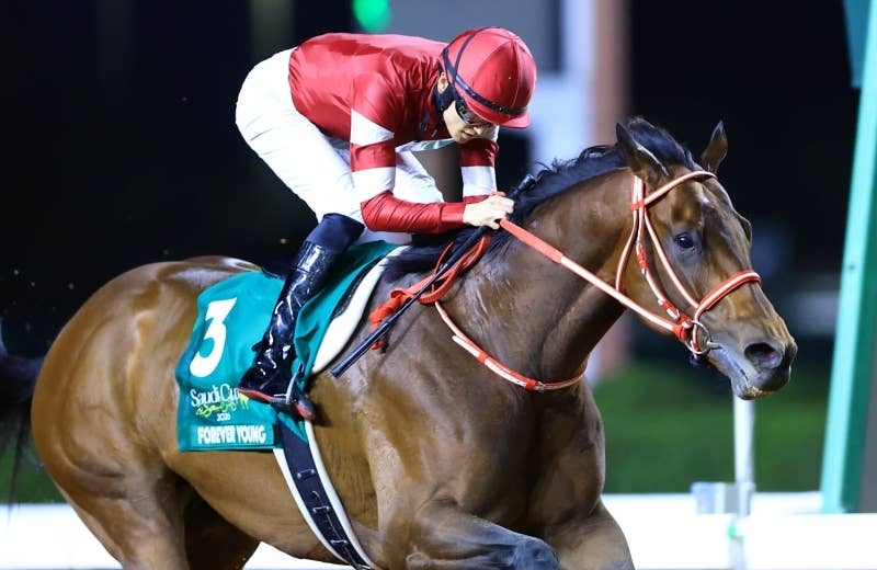 フォーエバーヤング（Forever Young） | 競馬データベース | JRA-VAN