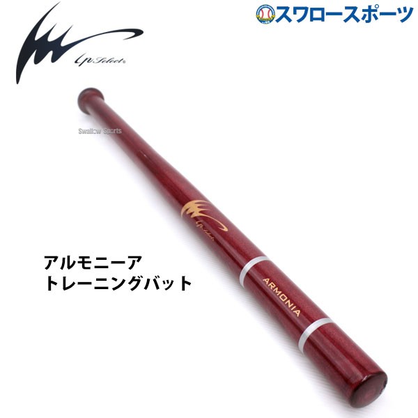 野球 アイピーセレクト 練習用バット Ip Select 硬式木製バット