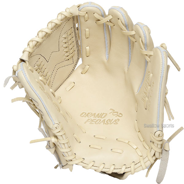 野球 ワールドペガサス 硬式グローブ グラブ 硬式 グローブ 大人 一般