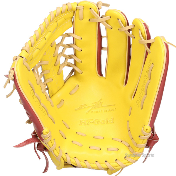 野球 グローブ 軟式 ハイゴールド 己極 軟式グローブ グラブ 軟式用 外