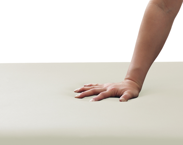 FV-223 ネチュラElectric Flat Memory(エレクトリックフラットメモリー