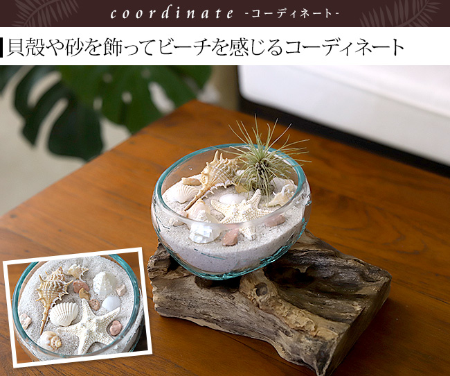 ガラス×流木風 天然木のオブジェの通販｜《公式》Cocobari