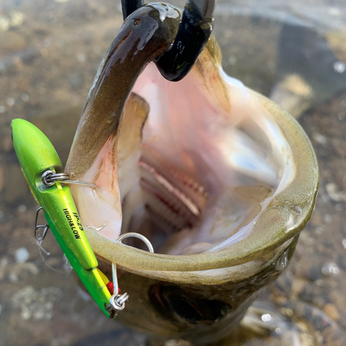 IP-25 IRONPLATE HIGH&LOW SC | COREMAN - コアマン公式サイト | デイ