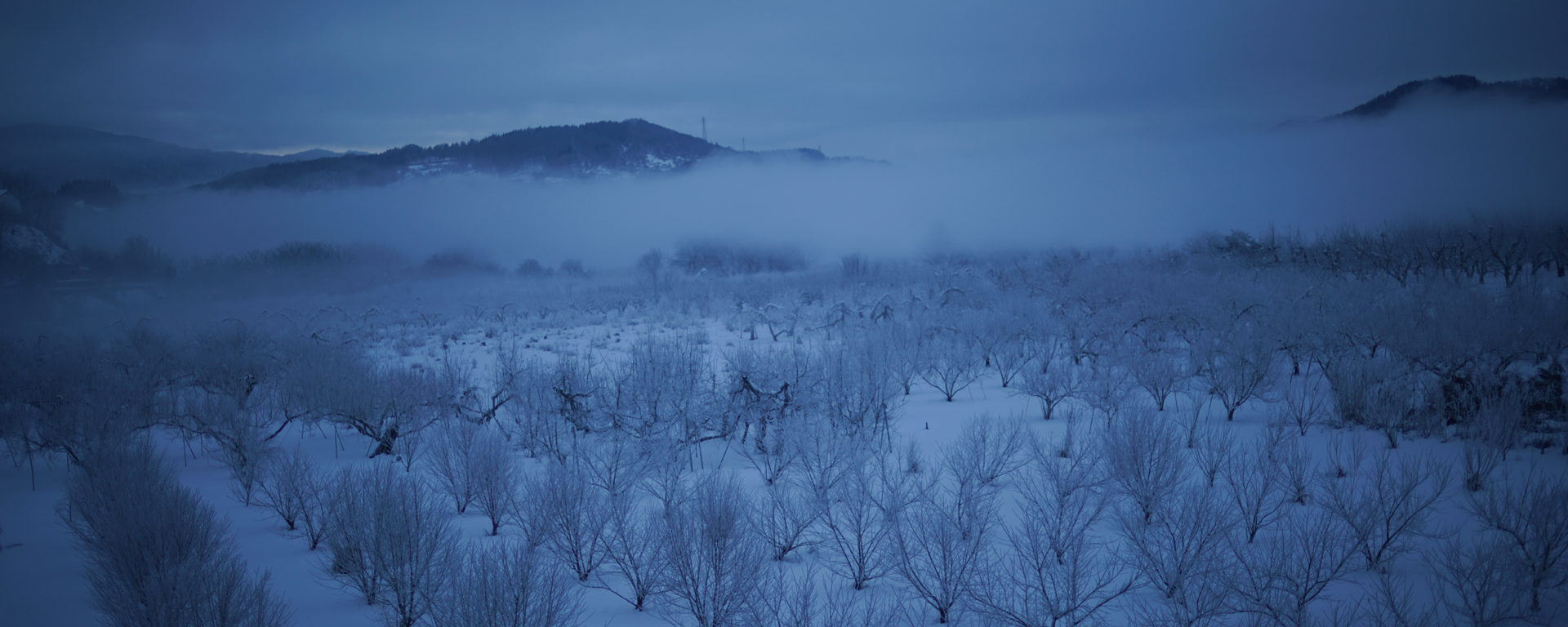 NOKTON 50mm F1 Aspherical - 株式会社コシナ