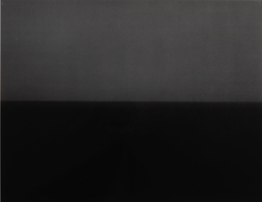 345_900x.jpg?v=1554465173