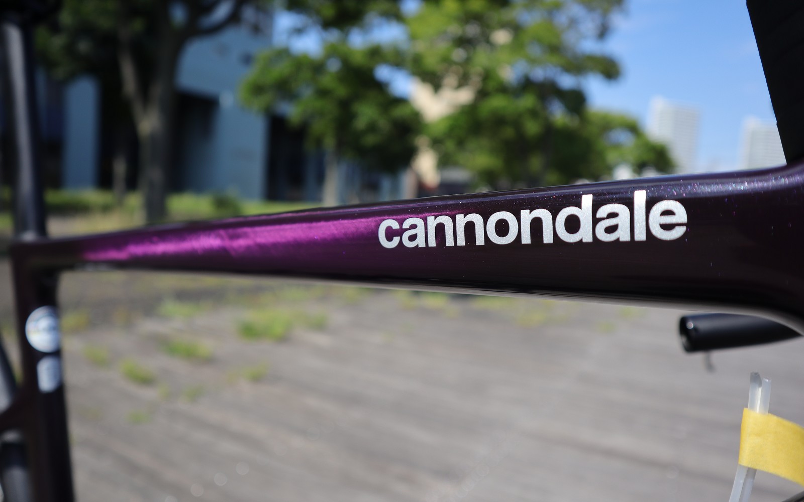 メーカー完売モデル】Supersix EVO Carbon Disc Ultegra パープル