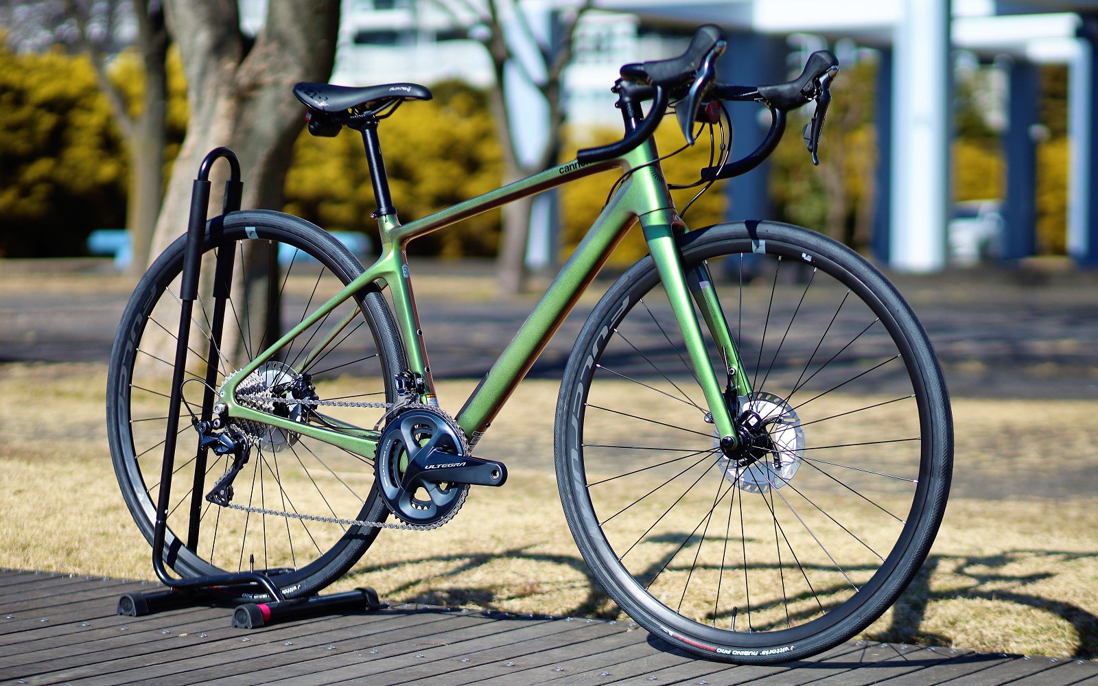 Synapse Carbon 2 RL | キャノンデール横浜