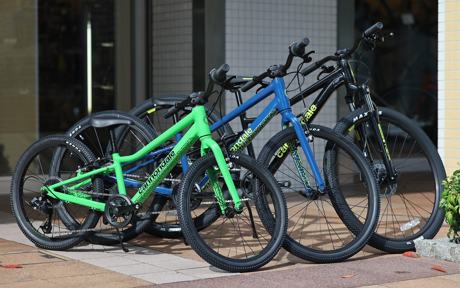 10月, 2022 | キャノンデール横浜