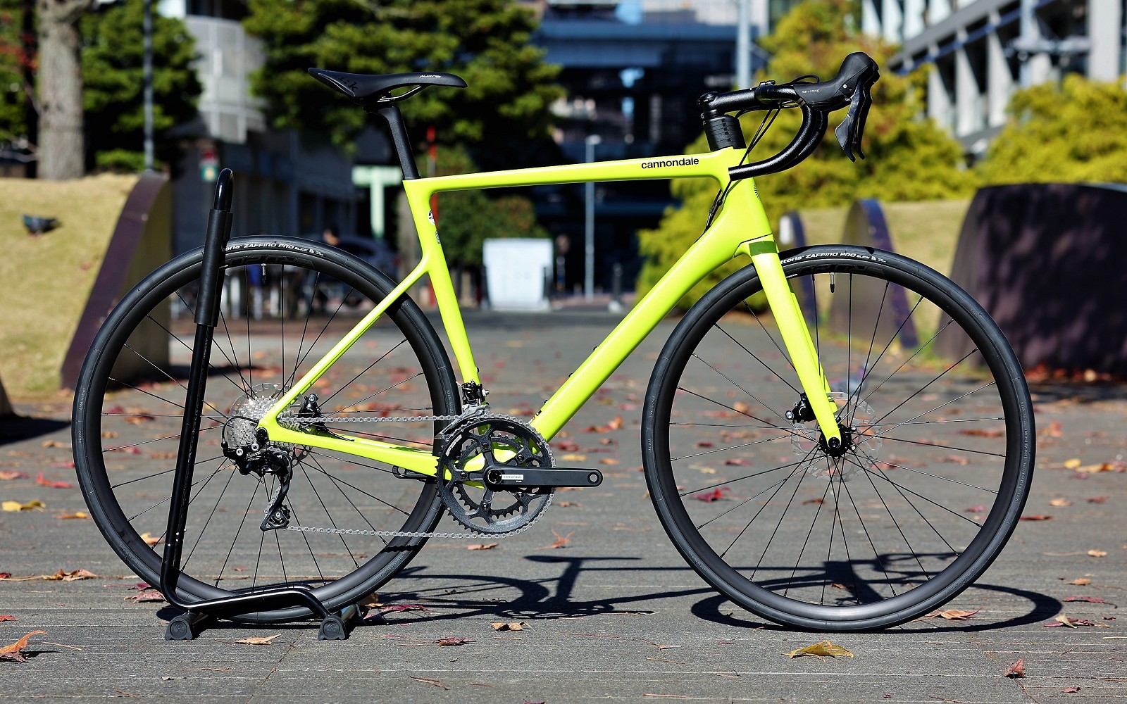 希少な大きめサイズ！56サイズのEVOが入荷しました | キャノンデール横浜