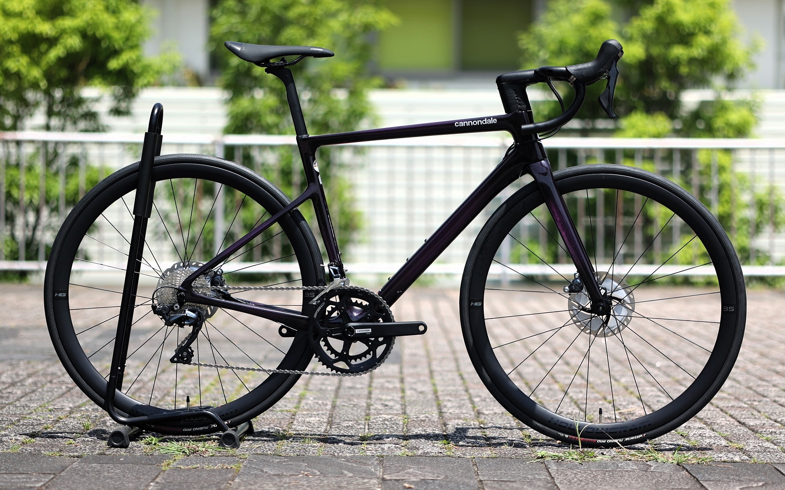 6月, 2024 | キャノンデール横浜