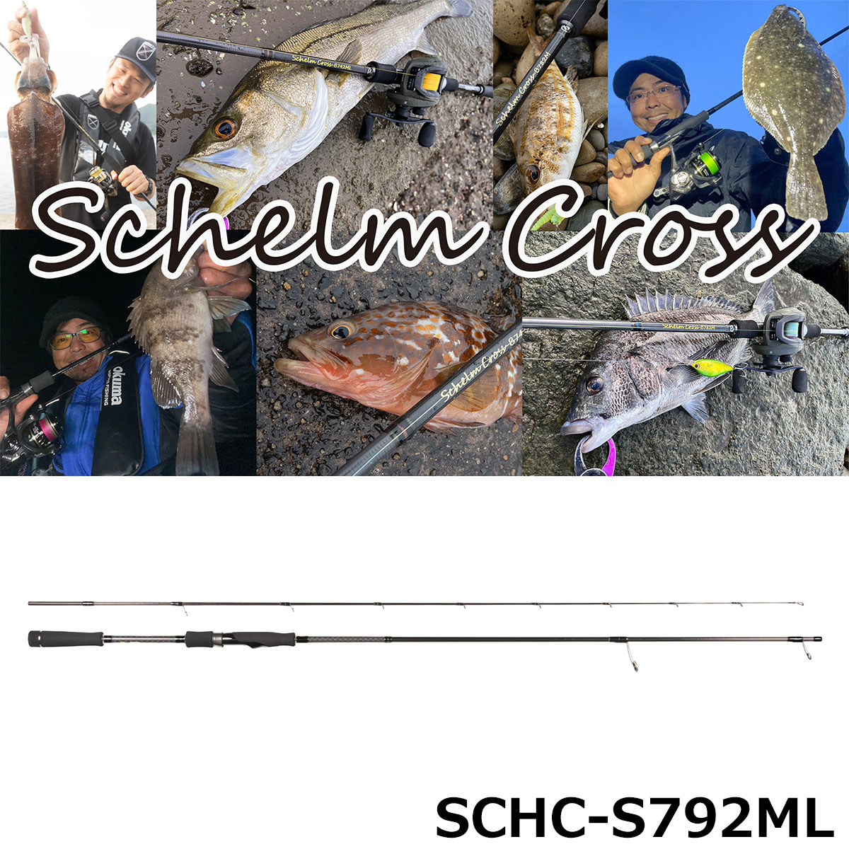 ゼニス(ZENITH) シュレム クロス(Schelm Cross) SCHC-B782M ☆セール