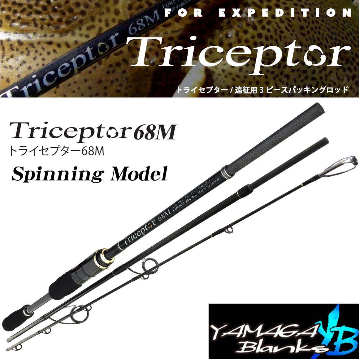 ヤマガブランクス(YAMAGA Branks) 22トライセプター(Triceptor) 68M
