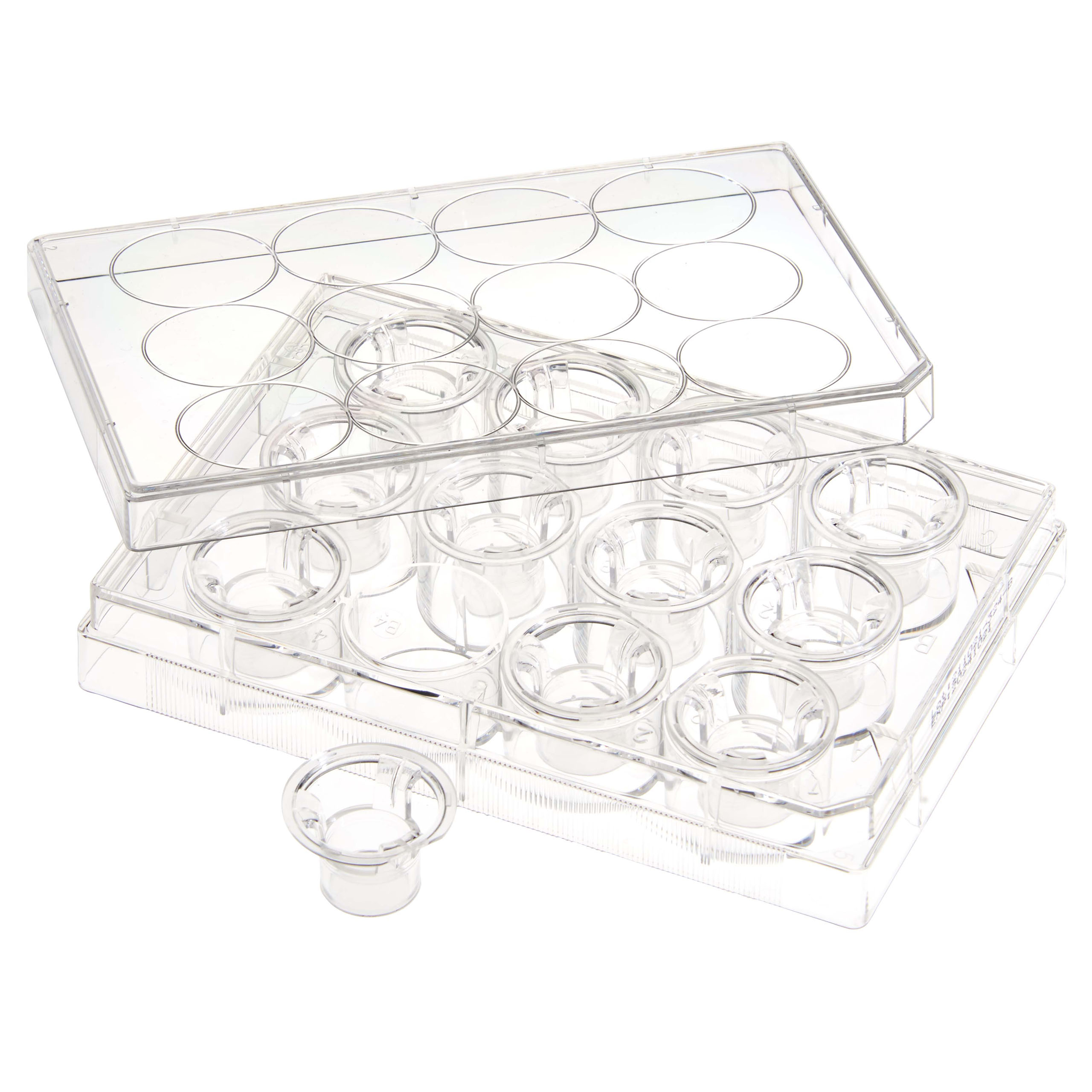 Plates-Permeable Cell Culture Inserts | 230615 • CELLTREAT
