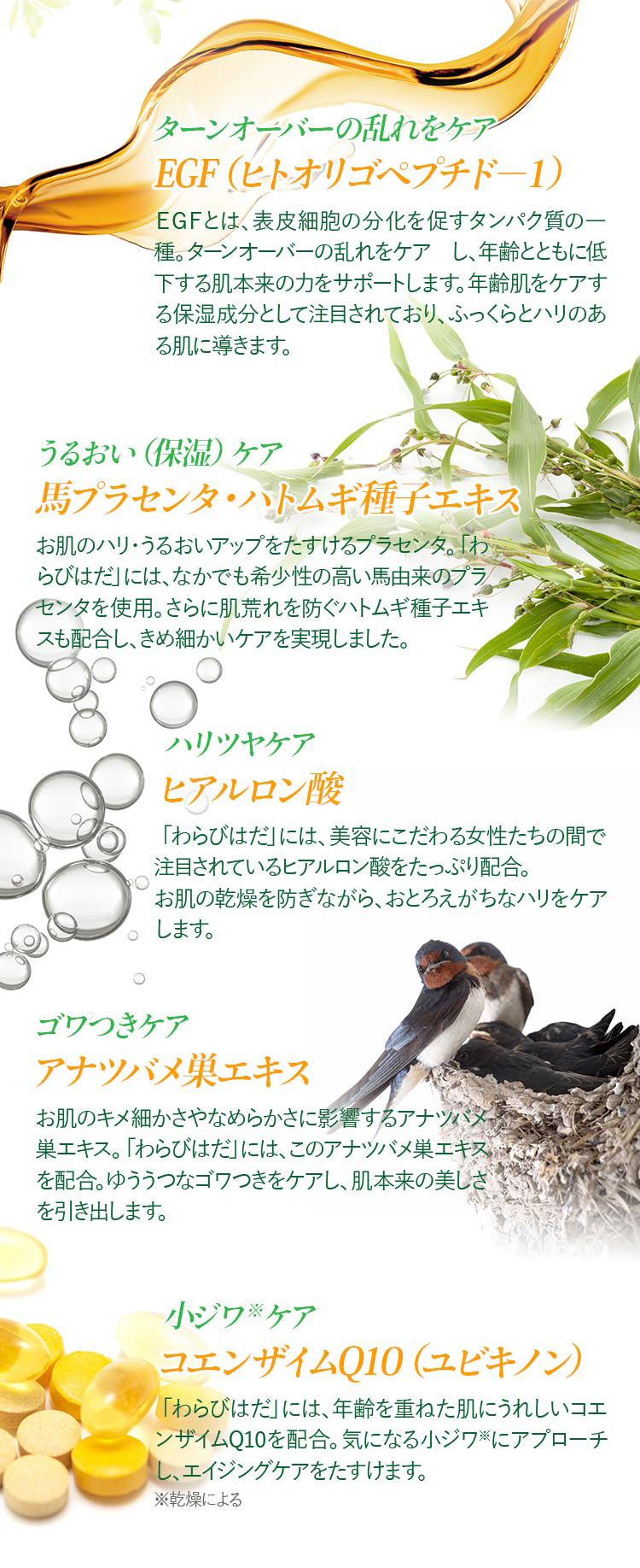 公式】わらびはだ|おすすめ沖縄美人のオールインワンジェル