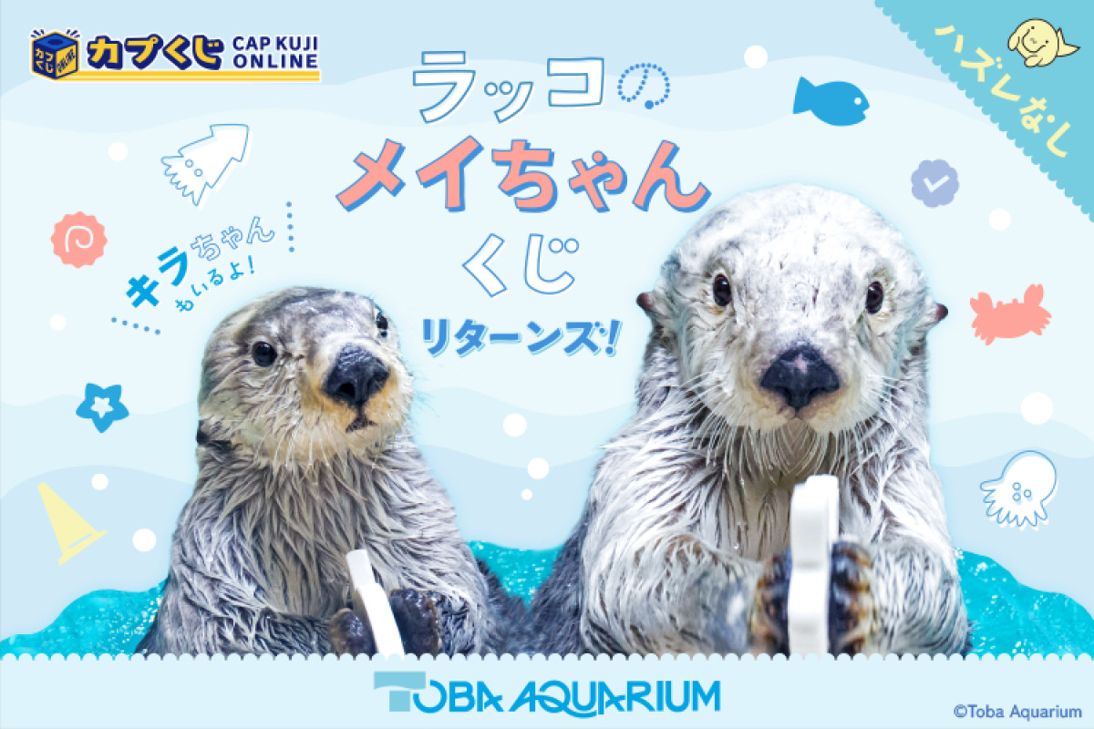 鳥羽水族館のアイドル「ラッコのメイちゃん」がハズレなしくじに！ S賞