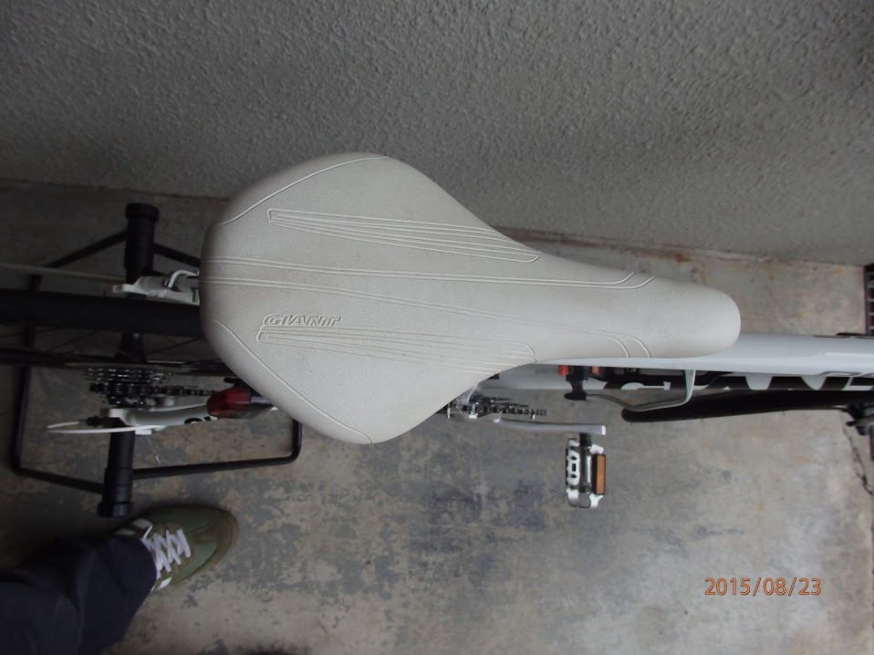 PACE(ペース)｜ジャイアントのロードバイク買取サイパラ