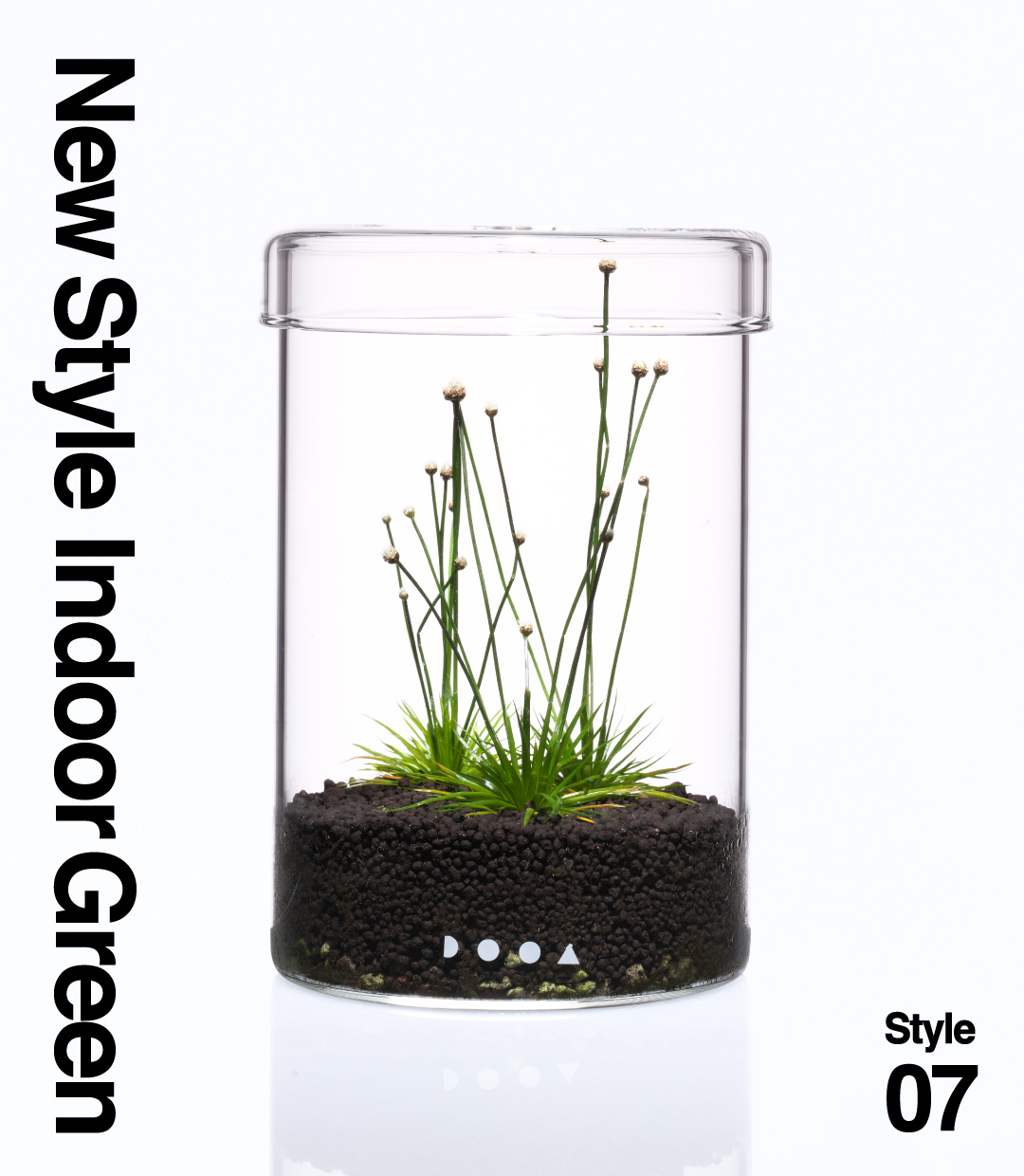 New Style Indoor Green – Style05 | AQUA DESIGN AMANO