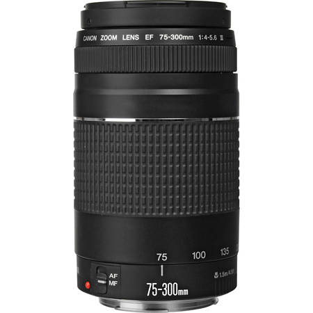 Canon EF 75-300mm f/4-5.6 III Lens 6473A003