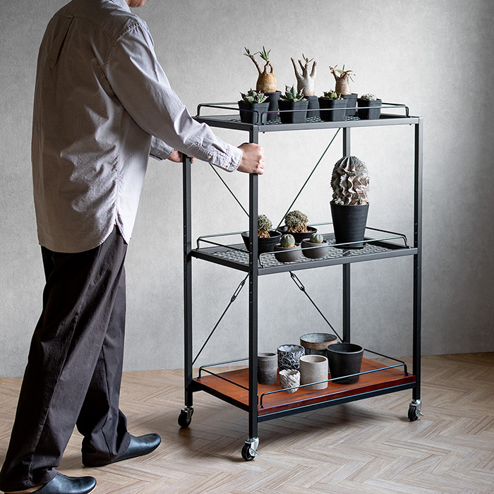 ヴィンテージ調ボタニカルラック BILLS(ビルズ)125cm幅 | 家具