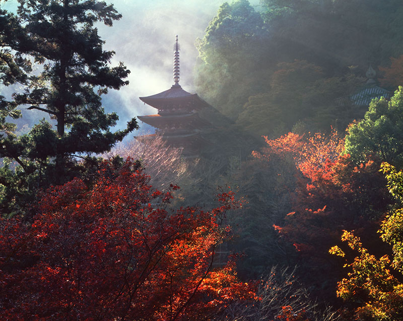 生誕120年 入江泰吉自選「奈良大和路春夏秋冬」 | 入江泰吉記念奈良市