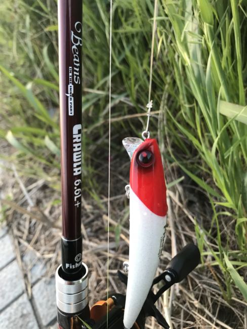 Beams CRAWLA（ビームスクローラ）6.6L＋】開封とファースト