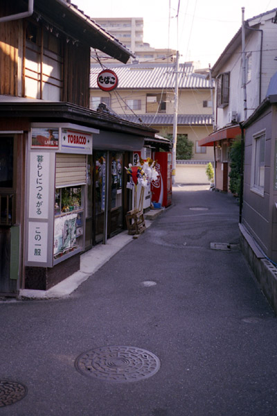 ニコン ピカイチメイト (Nikon L135AF) | Camera Museum by awane