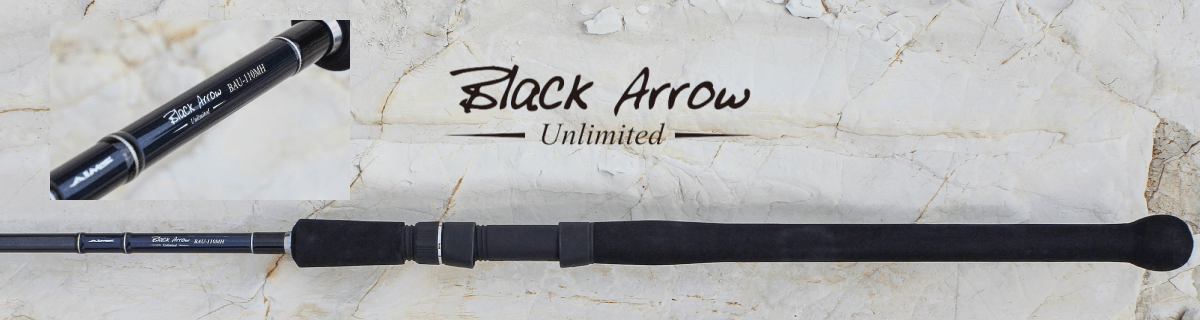 磯エリア対応モデル | フィッシングブランド「AIMS（エイムス