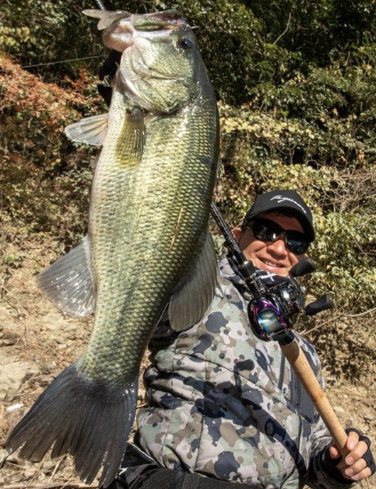 エバーグリーン カレイドインスピラーレRS