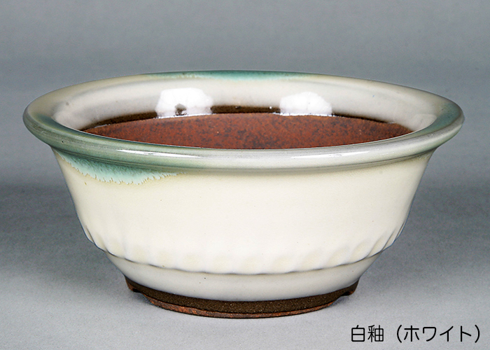 小石原焼4号胴縄丸鉢 | 盆栽、盆栽書籍、盆栽鉢の通販│近代出版