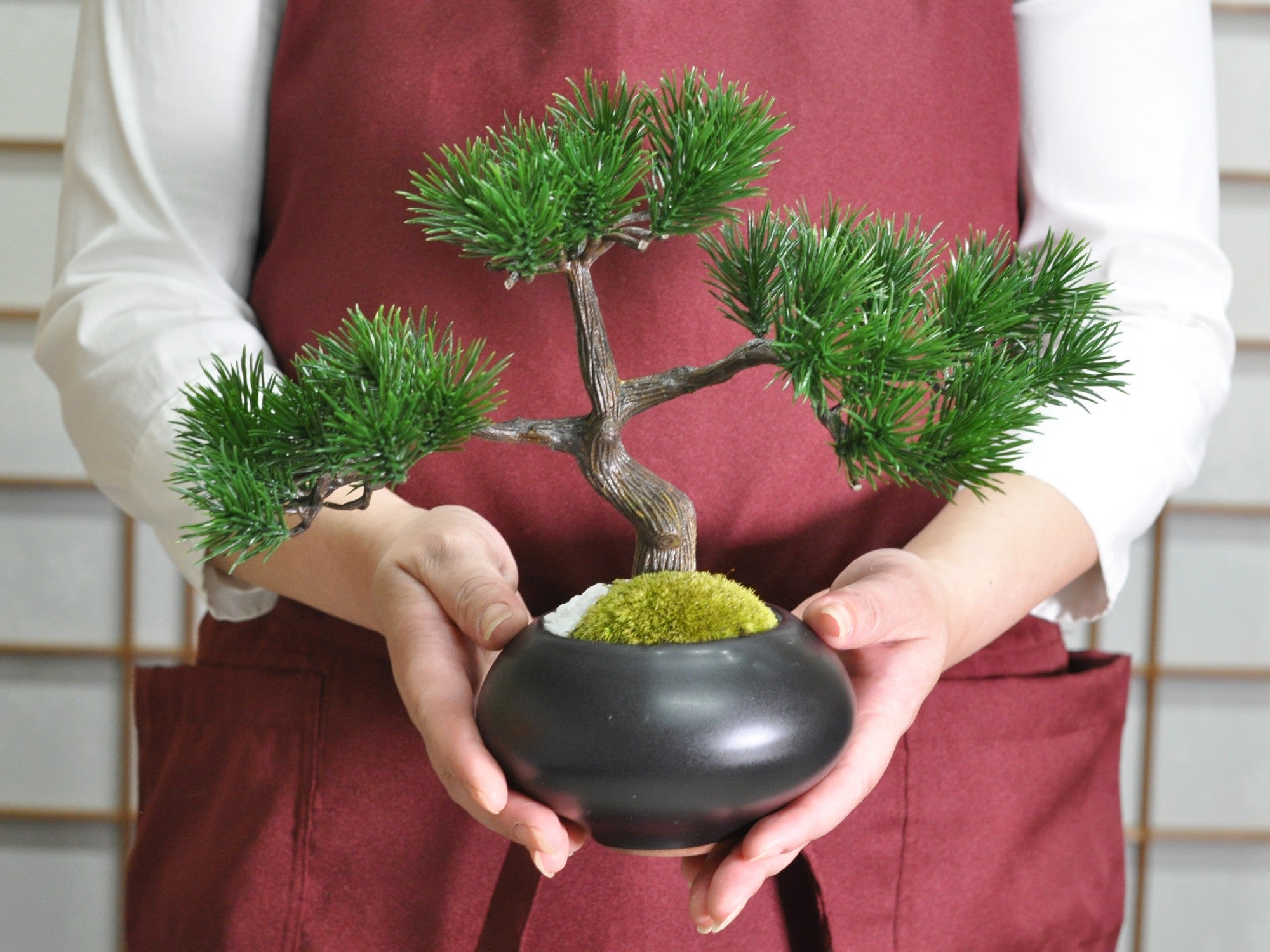 造花盆栽 枝振りの良い五葉松 模様木の盆栽の販売｜盆栽妙 – 盆栽妙 本店