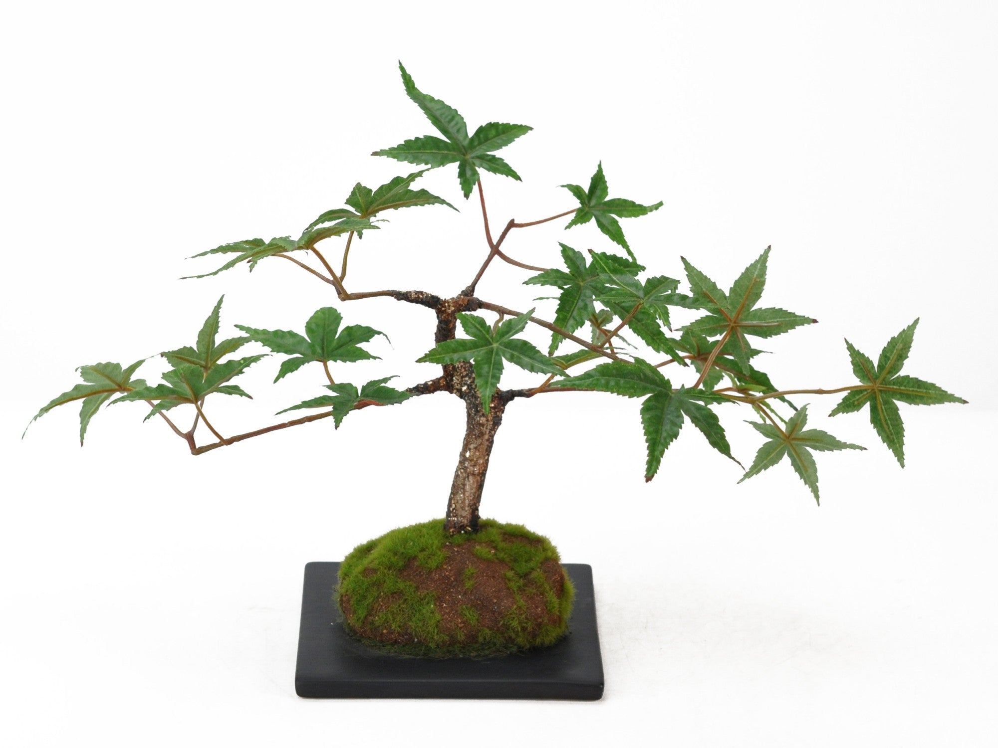 造花盆栽 もみじの販売｜盆栽妙 – 盆栽妙 本店