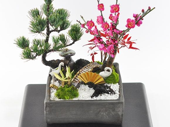松竹梅の寄せ植え 5号サイズ お正月の盆栽を販売｜入門は盆栽妙 – 盆栽