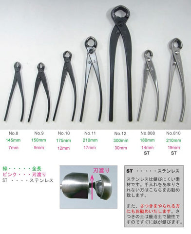 コブ切 特大 全長300mm NO.12の販売｜コブ切の盆栽妙 – 盆栽妙 本店