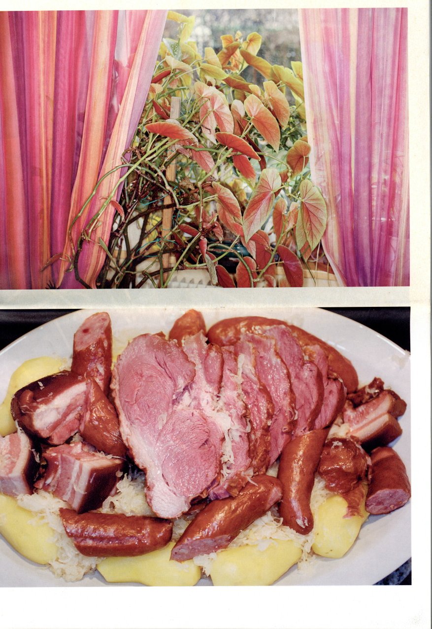 A Taste for Mulhouse / Photo: Martin Parr | 小宮山書店 KOMIYAMA