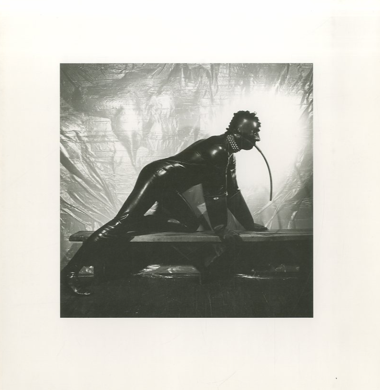 ロバート・メイプルソープ写真集 / ロバート・メイプルソープ | 小宮山