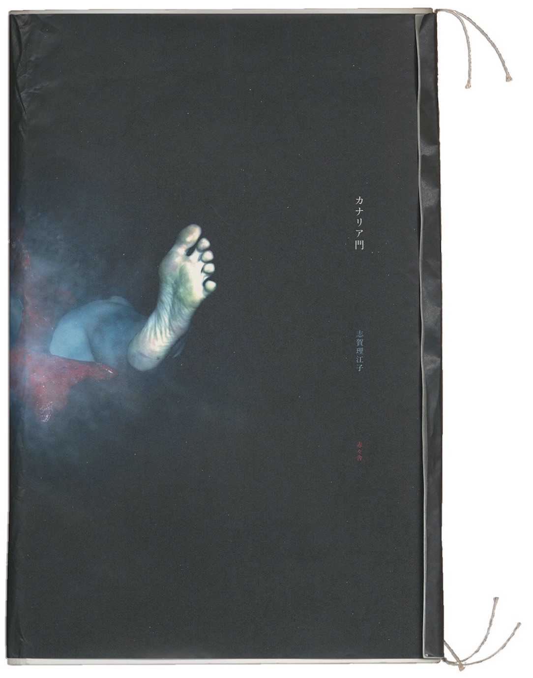 カナリア門 / 志賀理江子 | 小宮山書店 KOMIYAMA TOKYO | 神保町 古書