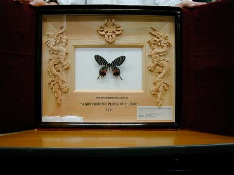 THE FLINTSTONE (bayfm 78.0MHz) :幻のチョウ「ブータンシボリアゲハ