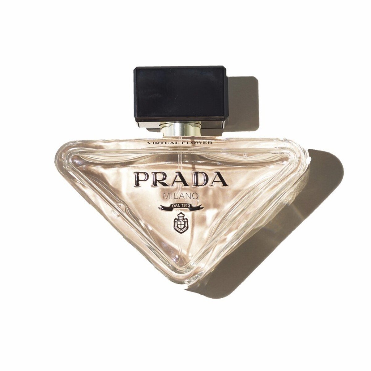 イヴ・サンローランやグッチ…持っている数だけおしゃれになれる