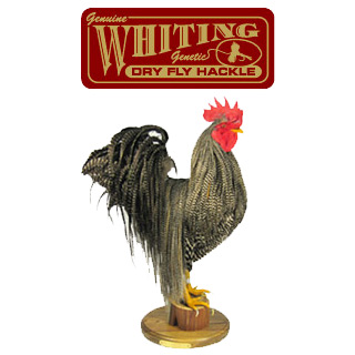Whiting Farms Whiting Hen Neck Hackle | ホワイティング・ファーム
