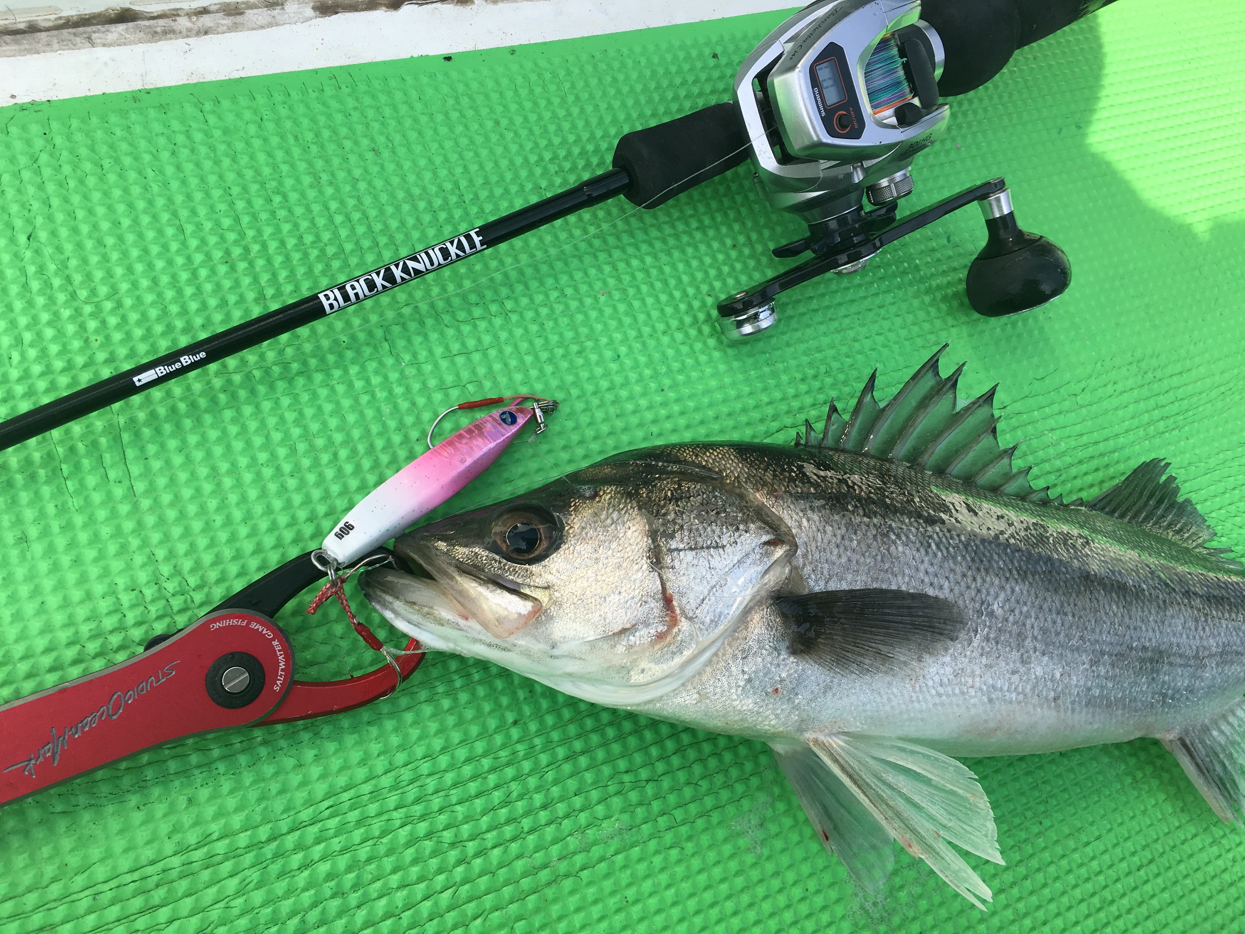 Light sensitive 631 | ブラックナックル | ロッド | 製品 | BlueBlue