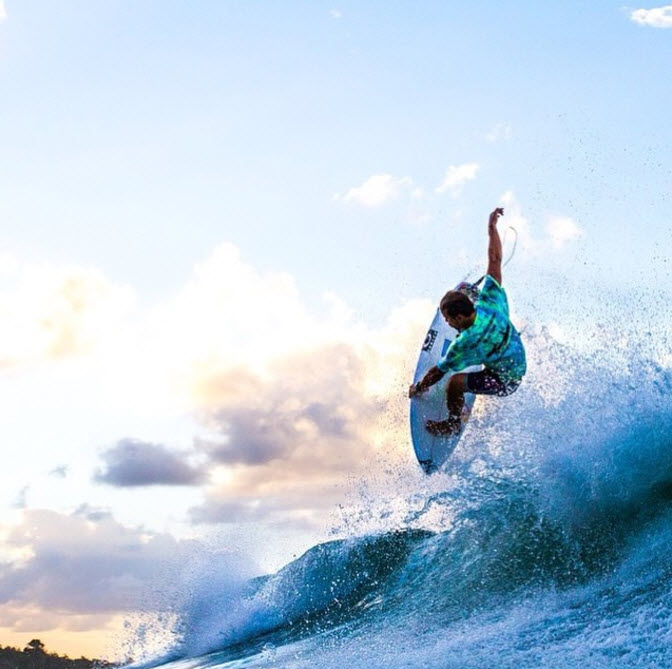 LSD Chubby Chedda Review - BLINK SURF