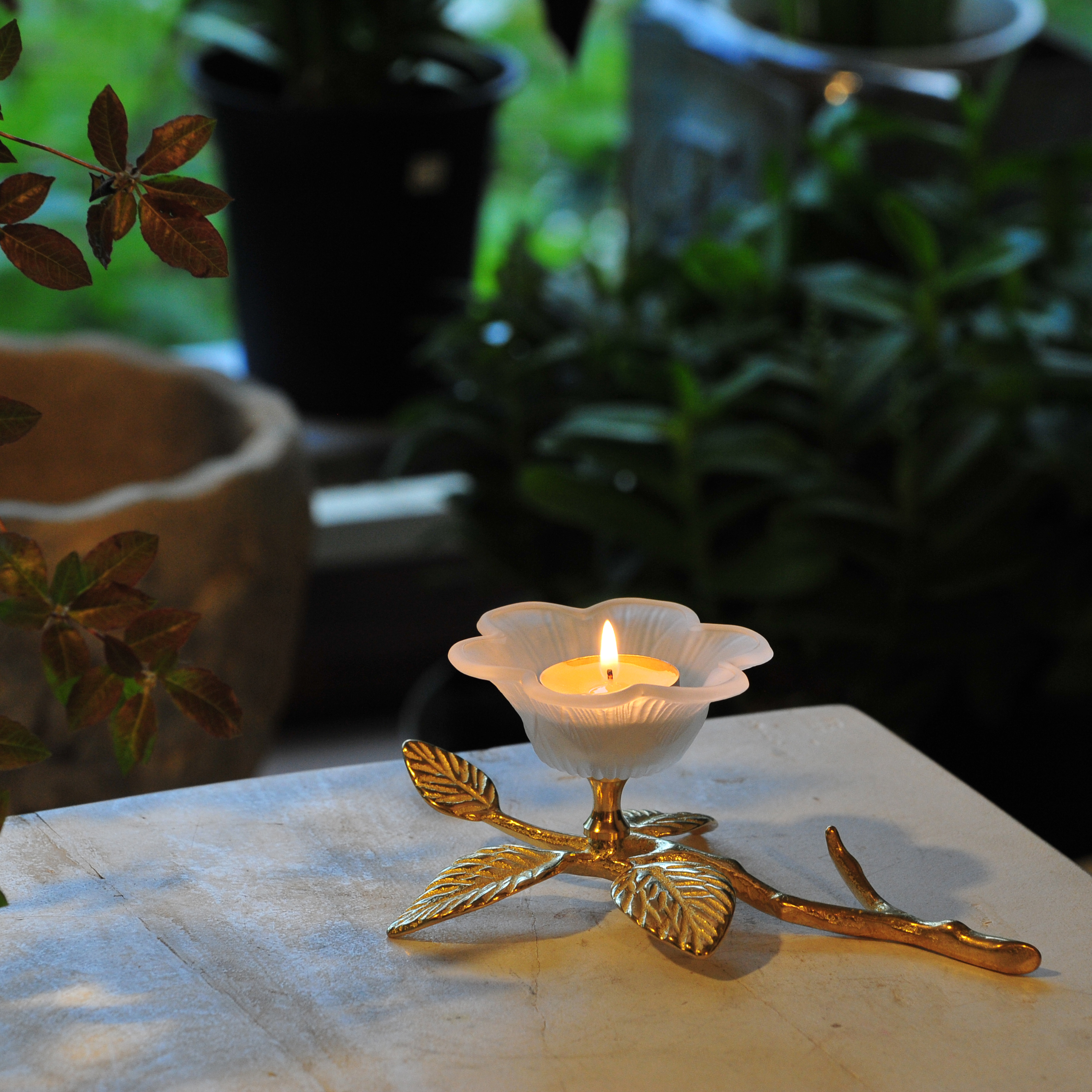 GORIKIISLAND キャンドルスタンド ワイルドローズ≫キャンドルホルダー