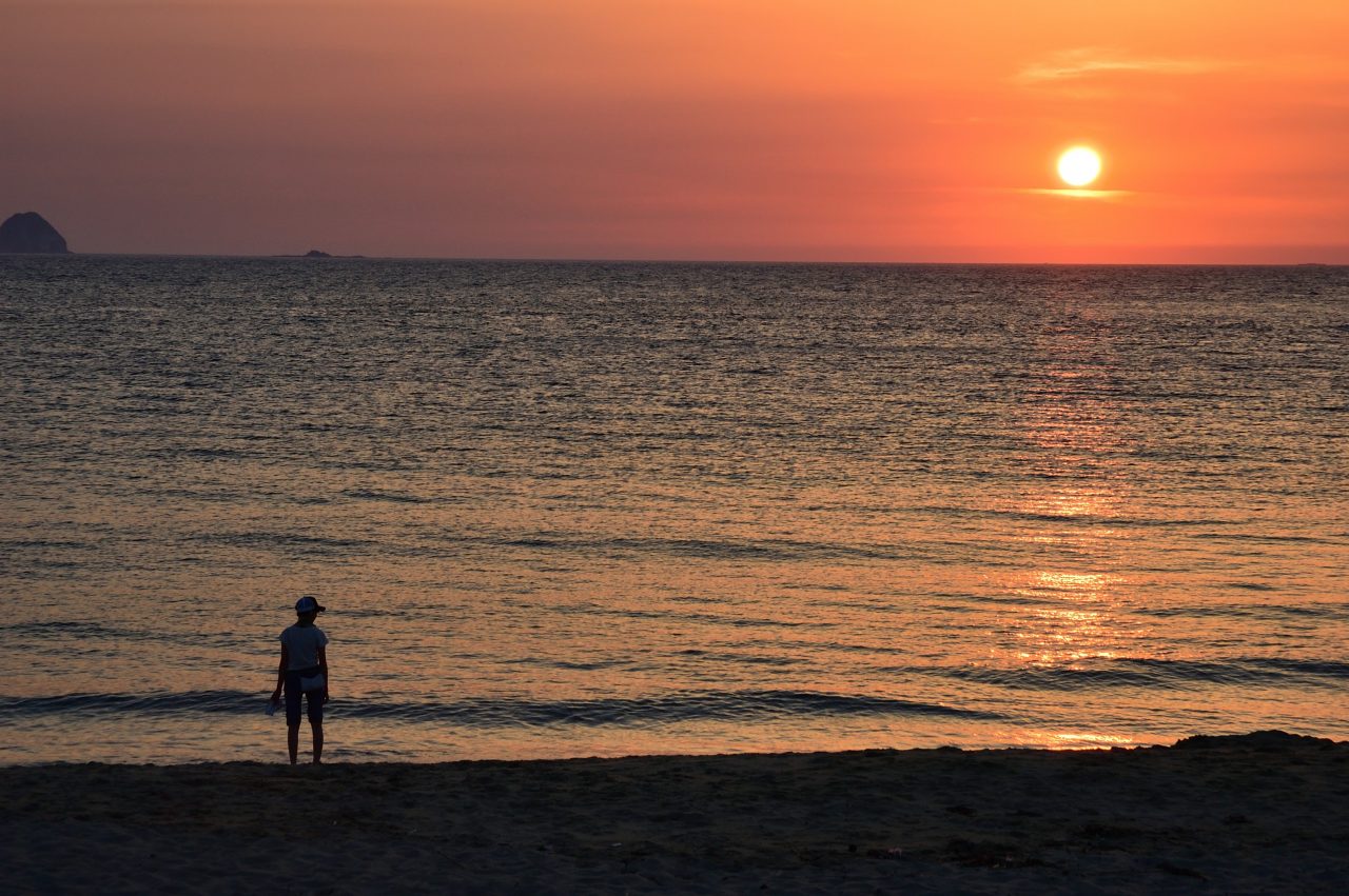 Nikon D70』を購入＆レビュー【更新：作例追加】 – buzzyvox