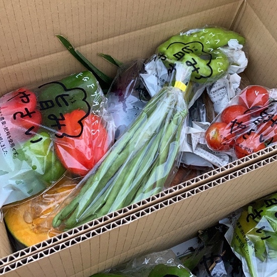 GAIAネット[※]【産地直送】【送料込み（別途地域あり）】長野県