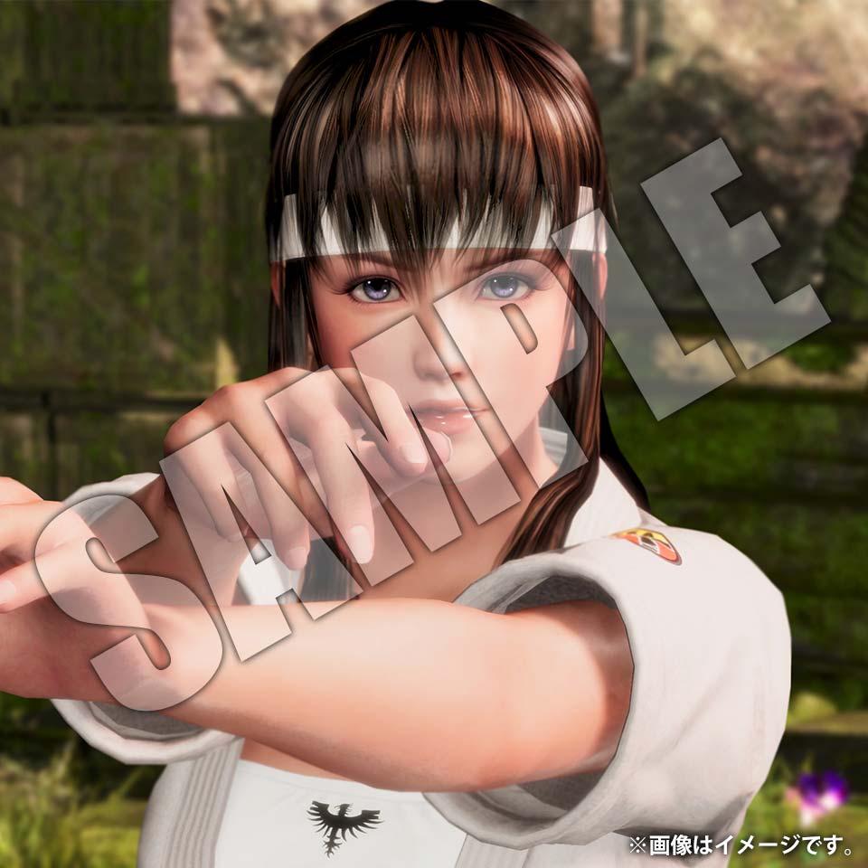 DEAD OR ALIVE 6 公式サイト | 店舗別特典